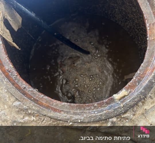 צינור שחור בתוך פתח ביוב עם מים עכורים